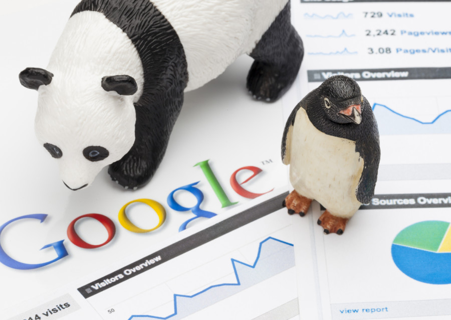 Google panda trong seo