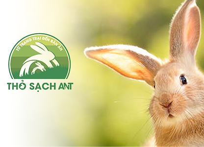 thosachant.com