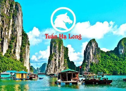 booktourhalong.com