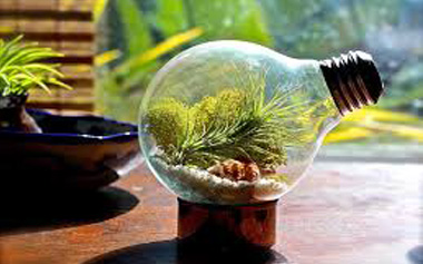 Luôn đam mê, Nỗ lực hết mình