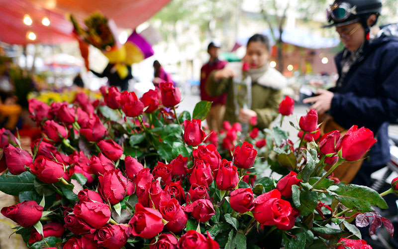 Luôn đam mê, Nỗ lực hết mình