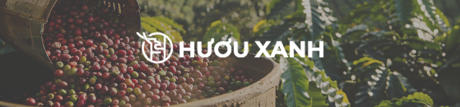 damhuuco.com